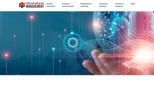 https://www.formation-consultant-management.com